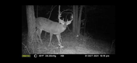 885 Bells Trace Rd, Grayson, KY 41143 photo 41