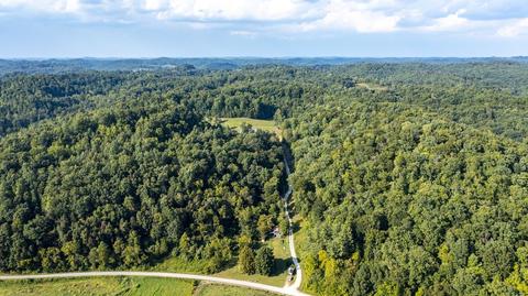885 Bells Trace Rd, Grayson, KY 41143 photo 29