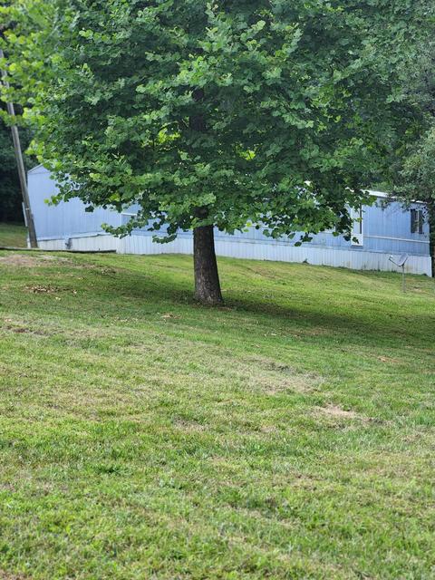 314 Wolf Gap Rd, Bronston, KY 42518 photo 9