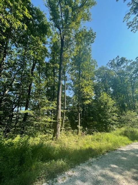 lot6 Indian Creek Development Rd, Frenchburg, KY 40322