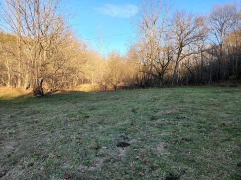 507 Vice Rd, Sharpsburg, KY 40374
