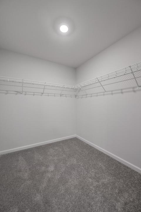 135 Kirkstall Way, Georgetown, KY 40324 photo 38