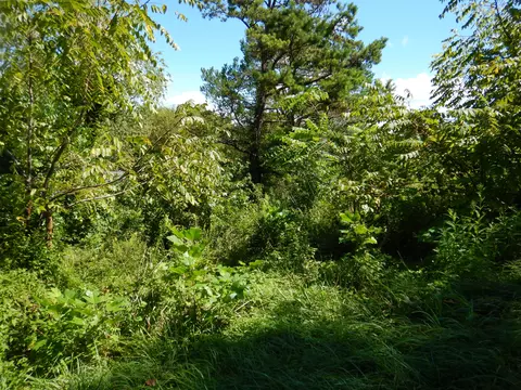 1111 Mcfadden Dr, Corbin, KY 40701 photo 3