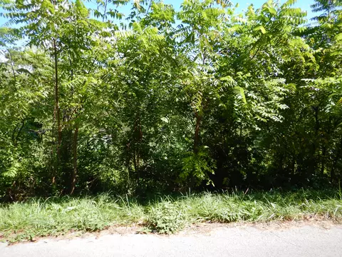 1111 Mcfadden Dr, Corbin, KY 40701