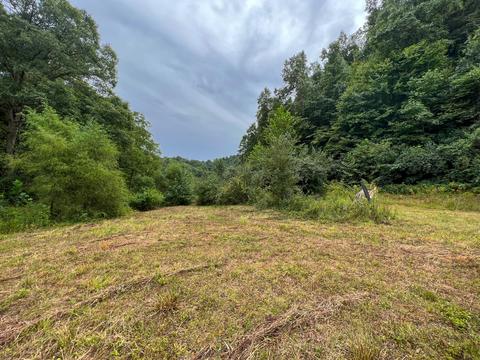 450 Tbd Short Branch Rd, West Liberty, KY 41472