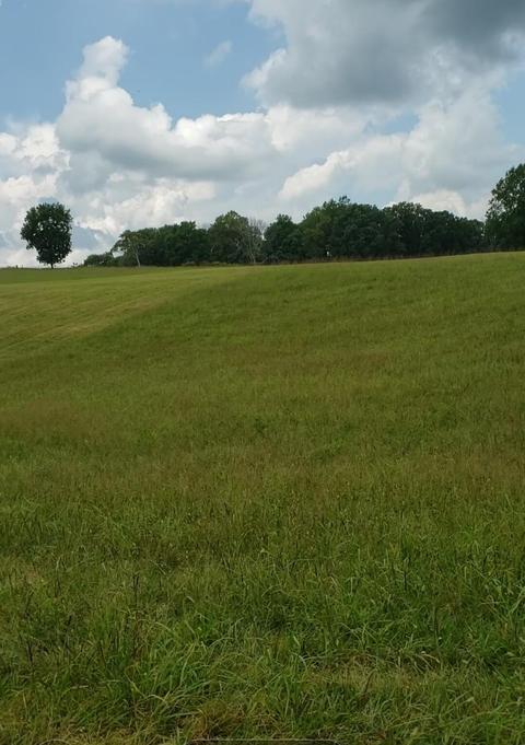 615 Buncombe Wheeldon, Eubank, KY 42567 photo 3