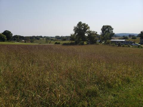 615 Buncombe Wheeldon, Eubank, KY 42567 photo 4