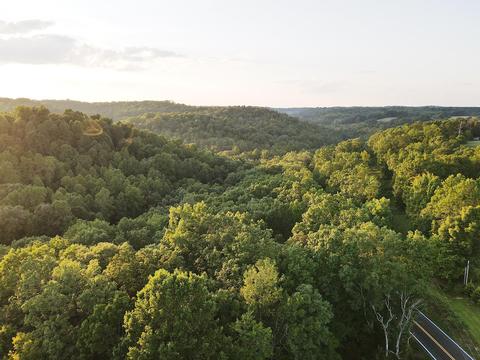 2955 Hwy 30 E, Tyner, KY 40486 photo 24