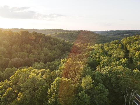 2955 Hwy 30 E, Tyner, KY 40486 photo 25