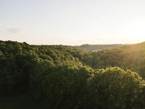 2955 Hwy 30 E, Tyner, KY 40486 photo 20