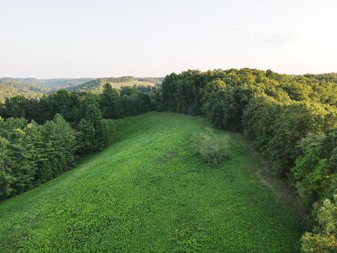 2955 Hwy 30 E, Tyner, KY 40486 photo 22