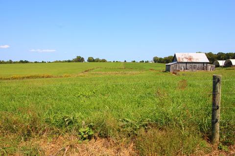 1100 Christianburg Rd, Shelbyville, KY 40065