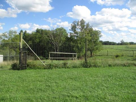 501 Dillon Ln, Ewing, KY 41039 photo 39