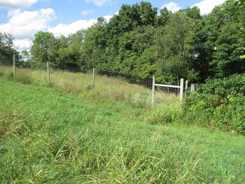 501 Dillon Ln, Ewing, KY 41039 photo 38