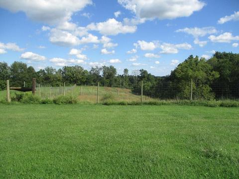 501 Dillon Ln, Ewing, KY 41039 photo 41