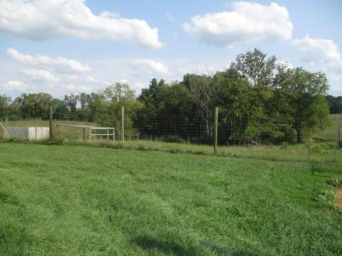 501 Dillon Ln, Ewing, KY 41039 photo 37
