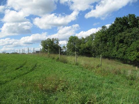 501 Dillon Ln, Ewing, KY 41039 photo 36