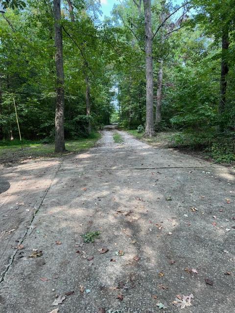 320 Whiteford Ln, Eubank, KY 42567 photo 8