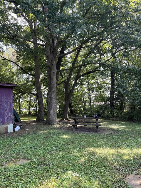 320 Whiteford Ln, Eubank, KY 42567 photo 4