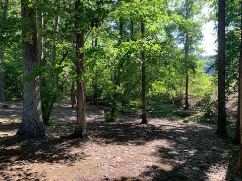 188 Fed Stephens Rd, Pine Knot, KY 42635 photo 29