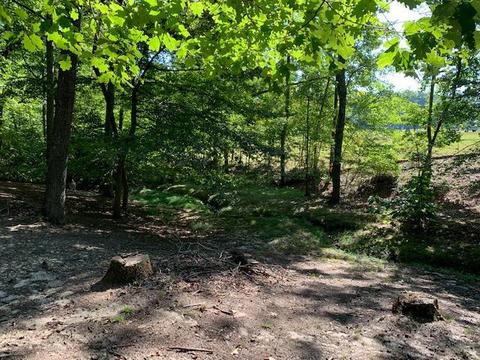 188 Fed Stephens Rd, Pine Knot, KY 42635 photo 27