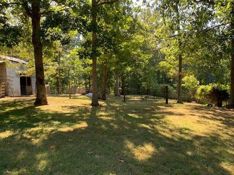 188 Fed Stephens Rd, Pine Knot, KY 42635 photo 20
