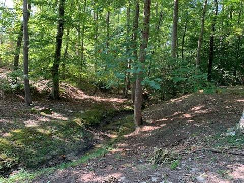 188 Fed Stephens Rd, Pine Knot, KY 42635 photo 26
