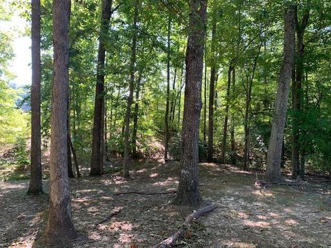 188 Fed Stephens Rd, Pine Knot, KY 42635 photo 30