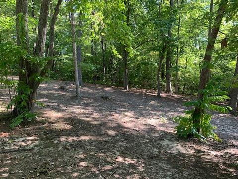 188 Fed Stephens Rd, Pine Knot, KY 42635 photo 28