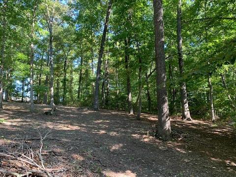 188 Fed Stephens Rd, Pine Knot, KY 42635 photo 24
