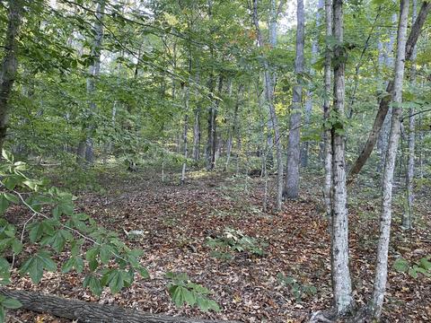 6 Cumberland Drive, Somerset, KY 42501