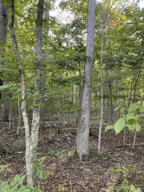 5 Cumberland Drive, Somerset, KY 42501
