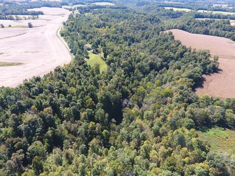 475 Gaines Rd, Nancy, KY 42544 photo 53