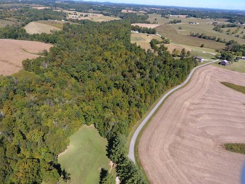 475 Gaines Rd, Nancy, KY 42544 photo 55