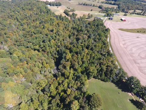 475 Gaines Rd, Nancy, KY 42544 photo 56
