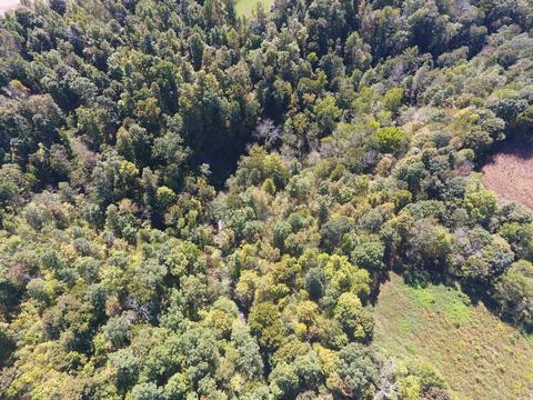 475 Gaines Rd, Nancy, KY 42544 photo 54