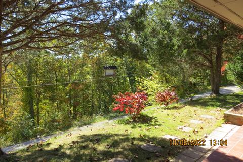 1008 Coldiron Hts, Baxter, KY 40806 photo 65
