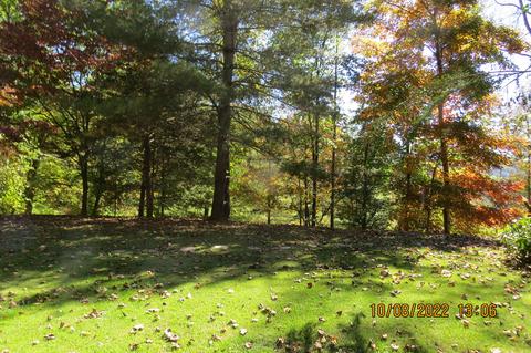 1008 Coldiron Hts, Baxter, KY 40806 photo 77