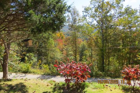 1008 Coldiron Hts, Baxter, KY 40806 photo 66