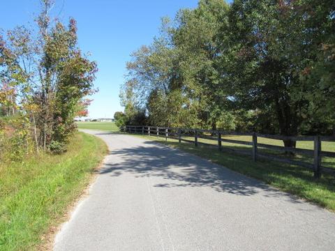 460 Goochtown Loop Loop, Eubank, KY 42567 photo 32