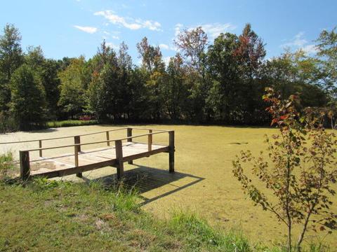 460 Goochtown Loop Loop, Eubank, KY 42567 photo 12