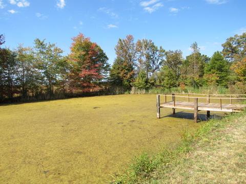 460 Goochtown Loop Loop, Eubank, KY 42567 photo 13