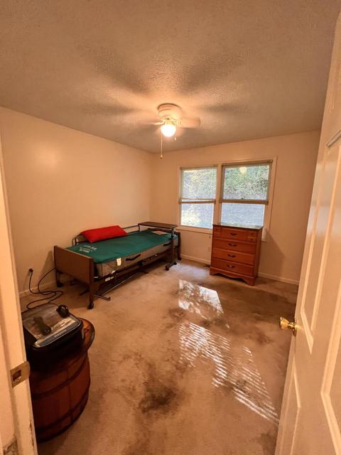 210 Walnut Ln, Stanton, KY 40380 photo 36