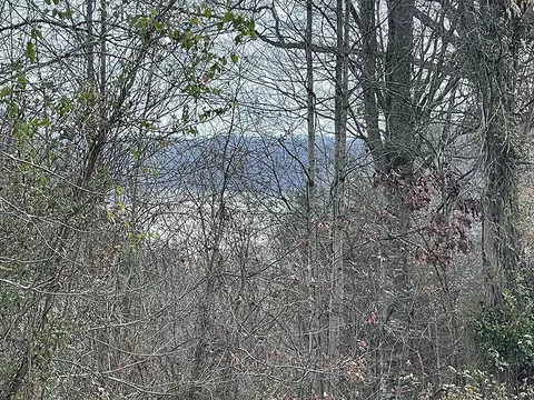 lot138 Stillwater, Russell Springs, KY 42642