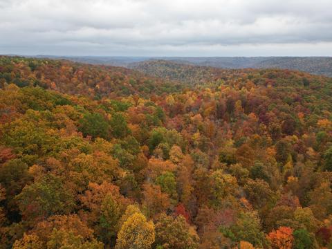 0 Shady Grove Rd, Mount Vernon, KY 40456