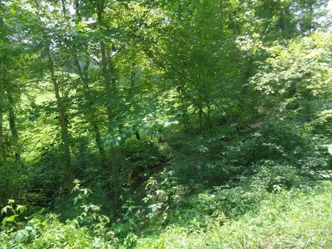 lot36 Cliffs Edge Rd, East Bernstadt, KY 40729