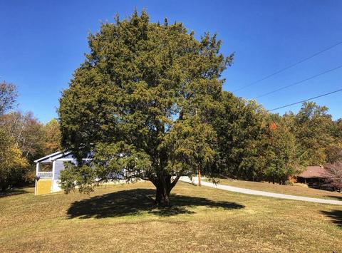 125 Ridge Rd, Nancy, KY 42544 photo 38