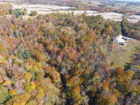 985 Gaines Rd, Nancy, KY 42544 photo 78
