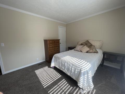 985 Gaines Rd, Nancy, KY 42544 photo 40