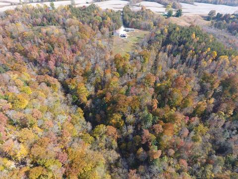 985 Gaines Rd, Nancy, KY 42544 photo 80